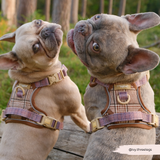 Cocopup Explore Dog Harness - Pup Plaid