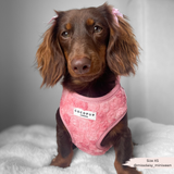 Cocopup Peony Pup Adjustable Neck Harness