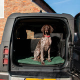 Ancol Sleepy Paws Waterproof Flat Pad Green- 5 sizes available