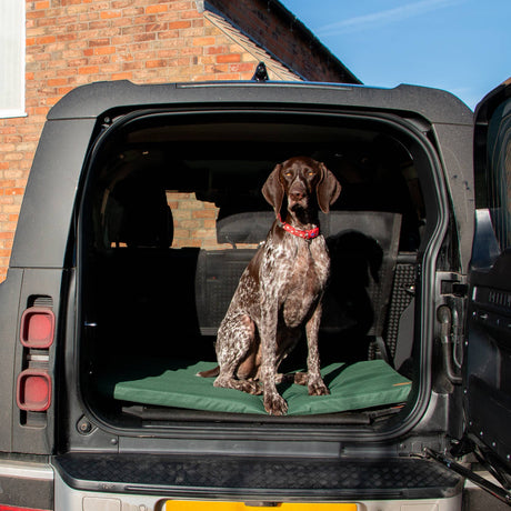 Ancol Sleepy Paws Waterproof Flat Pad Green- 5 sizes available