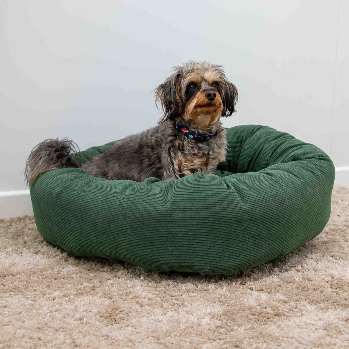 Sleepy Paws Luxury Corduroy Donut Dog Bed - Forest Green