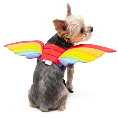 Halloween Rainbow Wings