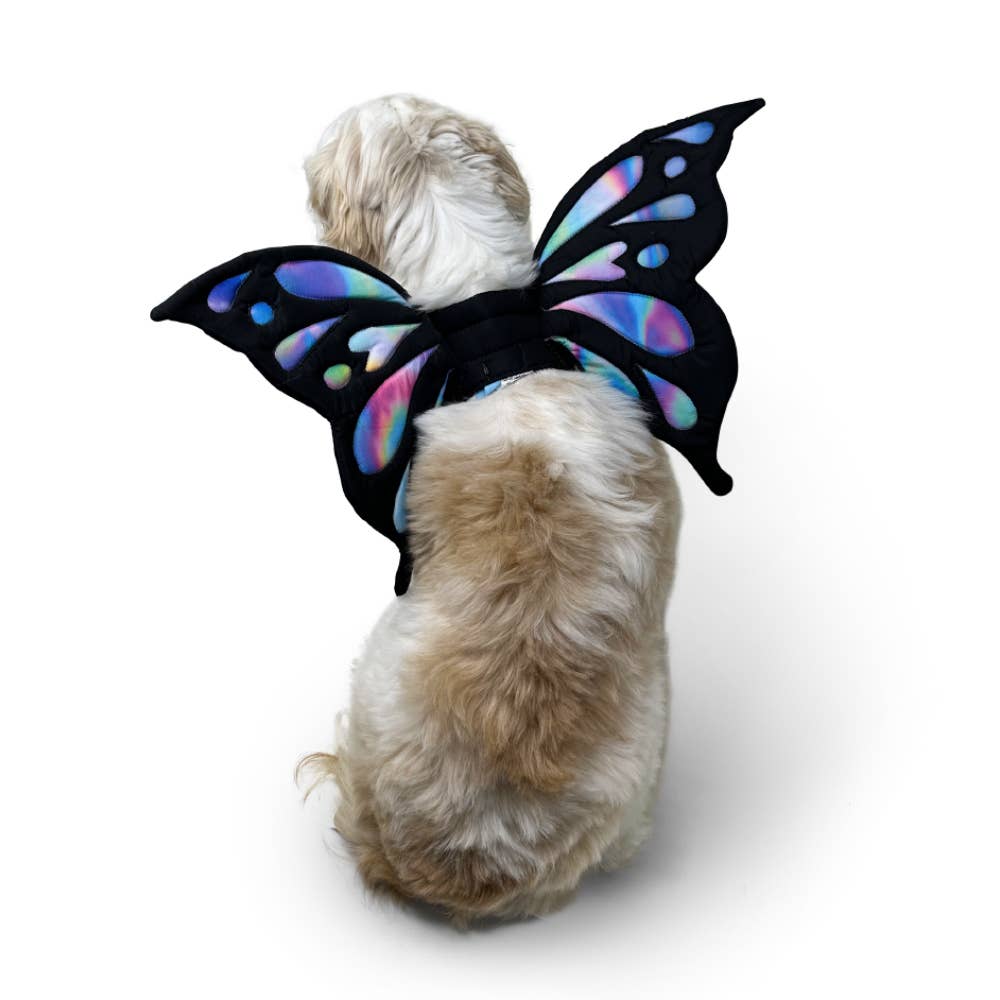 Halloween Butterfly Wings