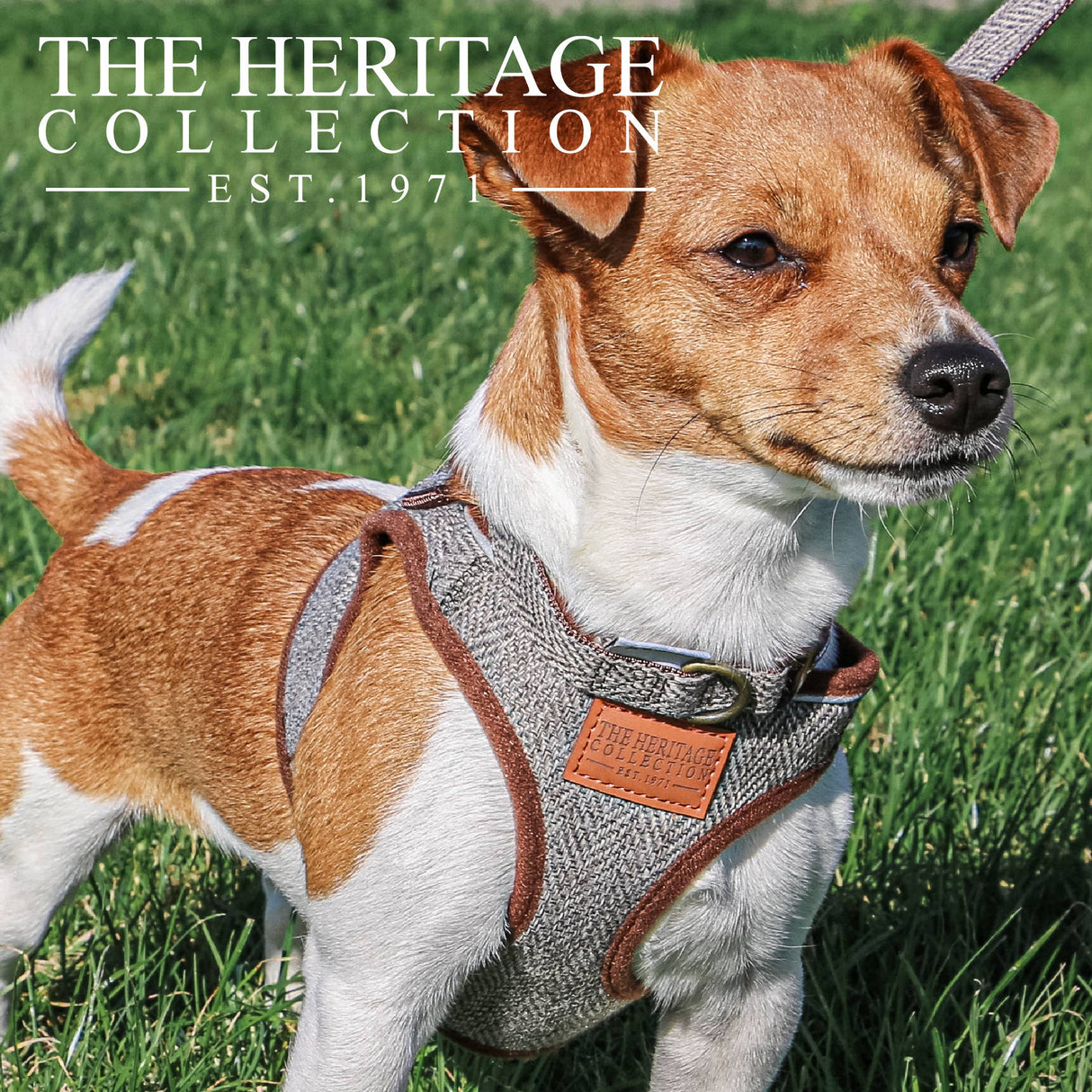 The Heritage Collection Country Step in Harness