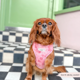 Cocopup Peony Pup Adjustable Neck Harness