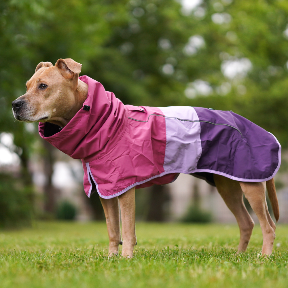 Spark Paws Breatheshield™ Dog Raincoat - Pink Lilac Purple