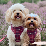Cocopup Mulberry Plaid Adjustable Neck Harness