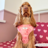 Cocopup Peony Pup Adjustable Neck Harness