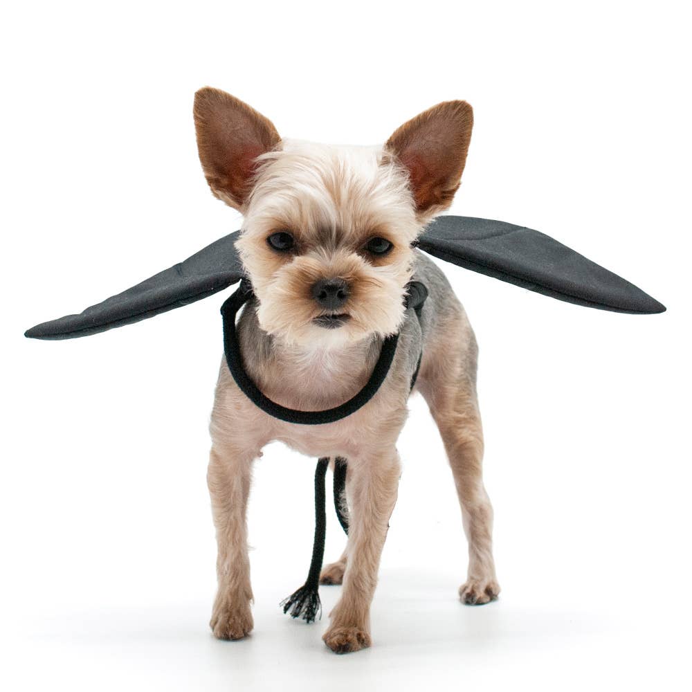Halloween Bat Wings