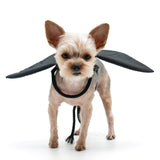 Halloween Bat Wings