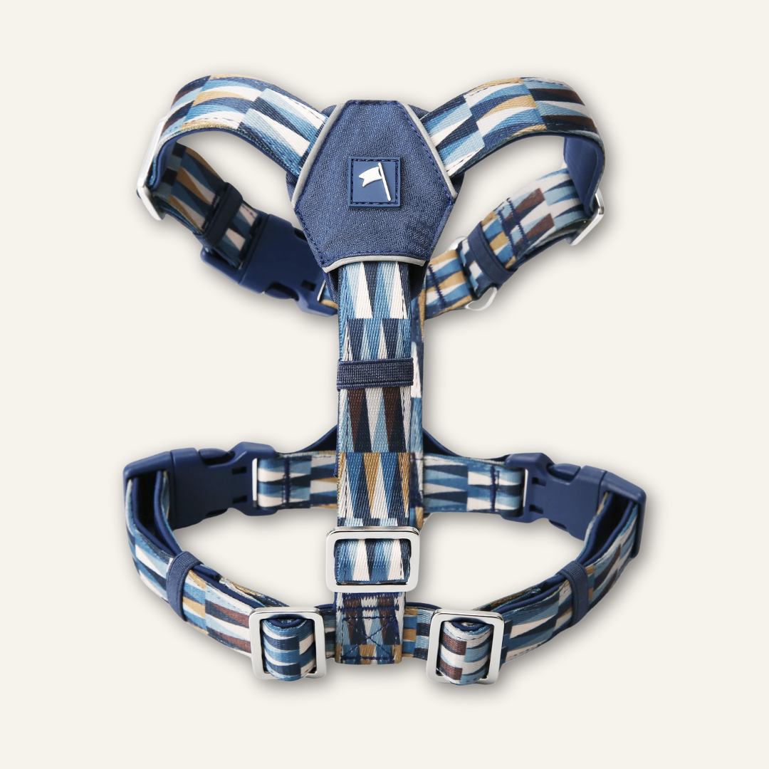Twiggy Tags Horizon Harness