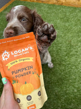 Logan’s Pumpkin Powder For Dogs - Dog Supplement 200g