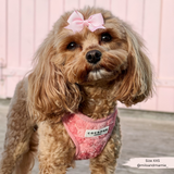 Cocopup Peony Pup Adjustable Neck Harness