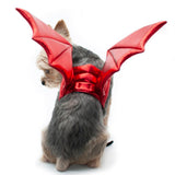 Halloween Dragon Wings