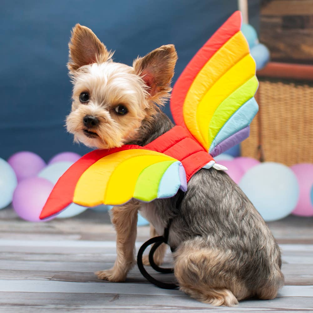 Halloween Rainbow Wings