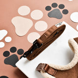 Cocopup Brown Aviator Lead