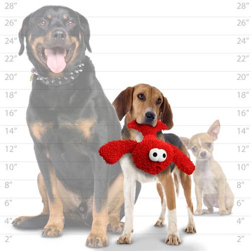 Mighty Microfiber Ball Lobster, Durable, Squeaky Dog Toy