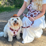 Cocopup Rodeo Pup Dog Hat