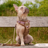 Cocopup Explore Dog Harness - Pup Plaid