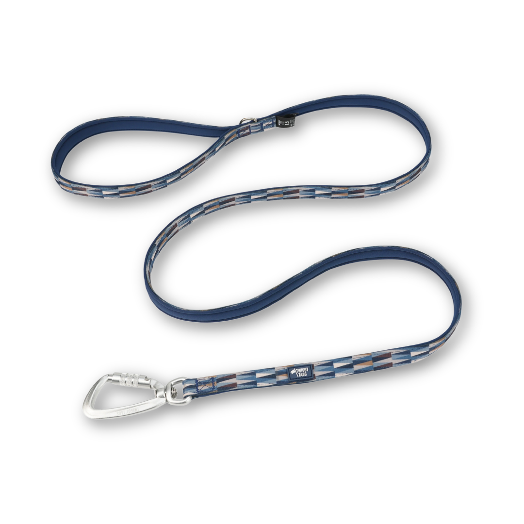 Twiggy Tags Lite Dog Lead