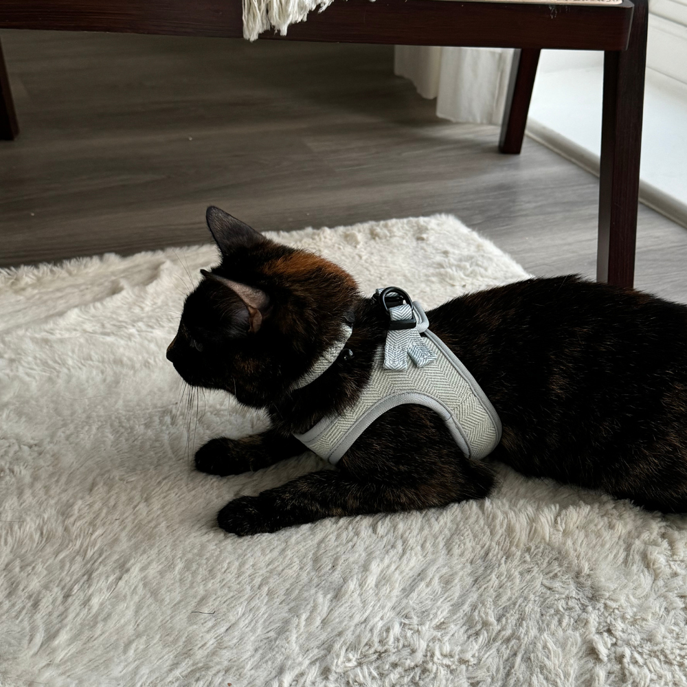 Cocopup Cat Harness - Sage Tweed