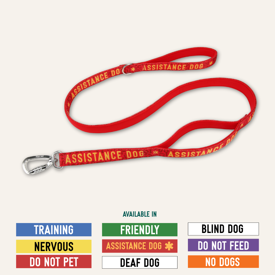 Twiggy Tags Awareness Close Control Dog Lead - Nervous