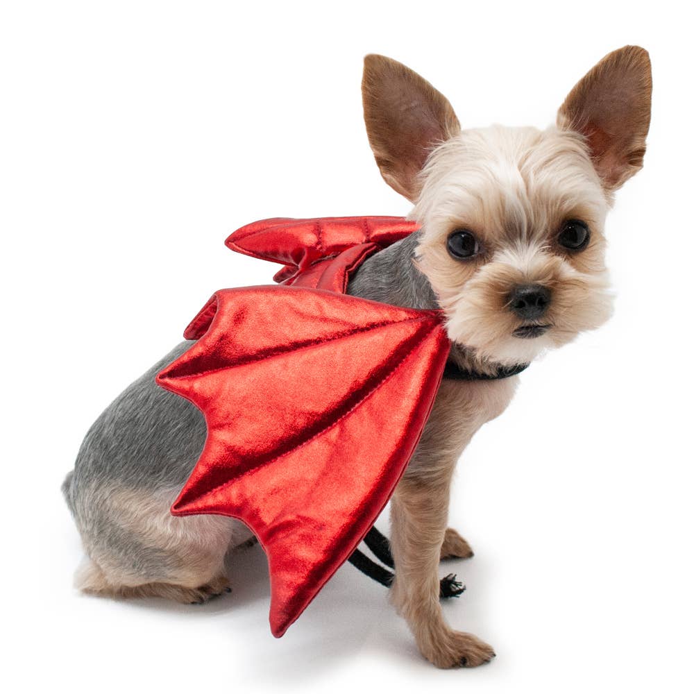Halloween Dragon Wings