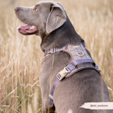 Cocopup Explore Dog Harness - Pup Plaid