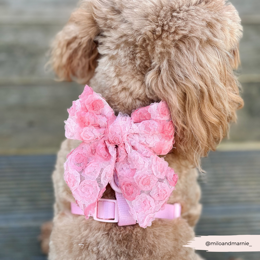 Cocopup Peony Pup Sailor Bow Tie