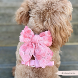 Cocopup Peony Pup Sailor Bow Tie