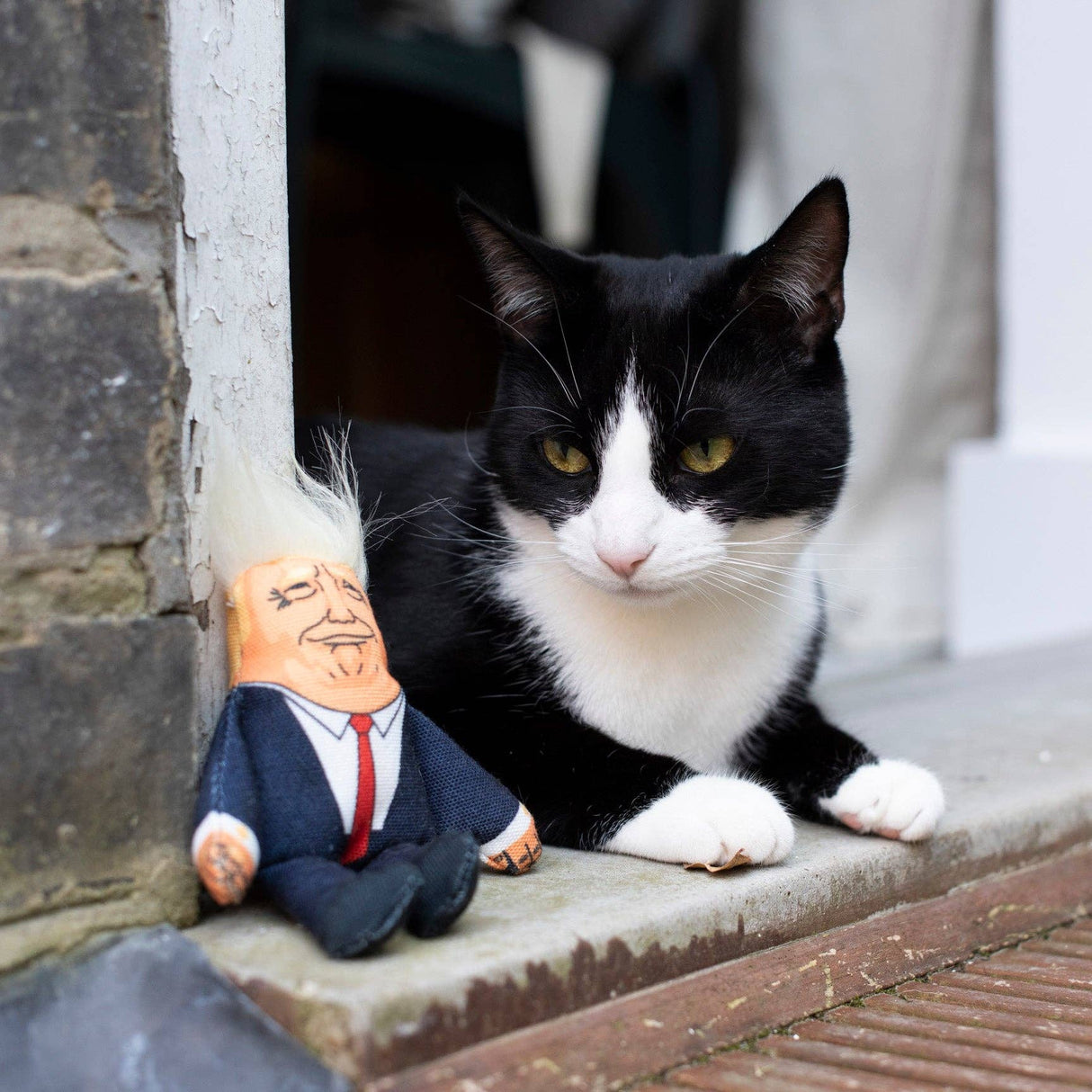 Pet Hates Toys Donald Cat Toy