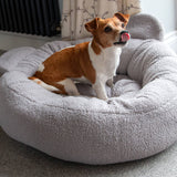 Ancol Small Bite Teddy Bear Donut Bed Pebble