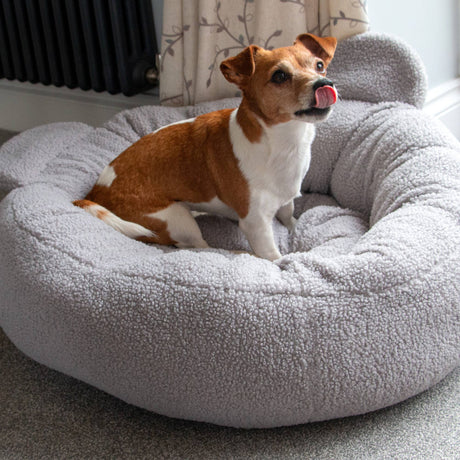 Ancol Small Bite Teddy Bear Donut Bed Pebble