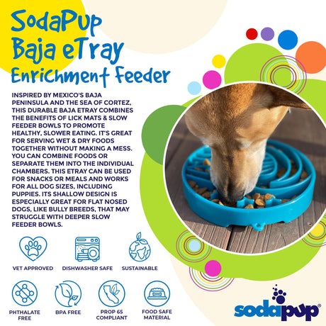 Sodapup Baja Design eTray Shallow Slow Feeder Bowl for Dogs