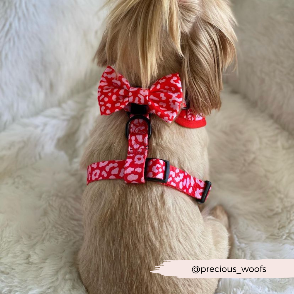 Cocopup Red & Pink Leopard Bow Tie