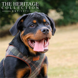 The Heritage Collection Country Step in Harness