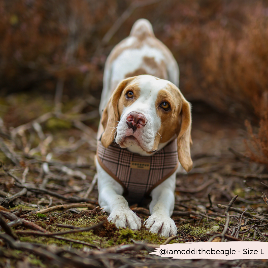 Cocopup Pup Plaid Adjustable Neck Harness