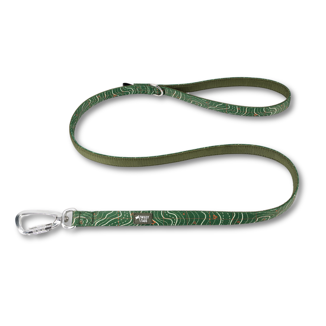 Apex® Lead - Nomad