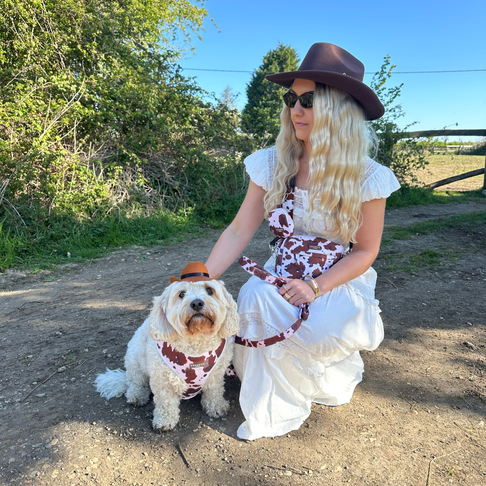 Cocopup Rodeo Pup Dog Hat