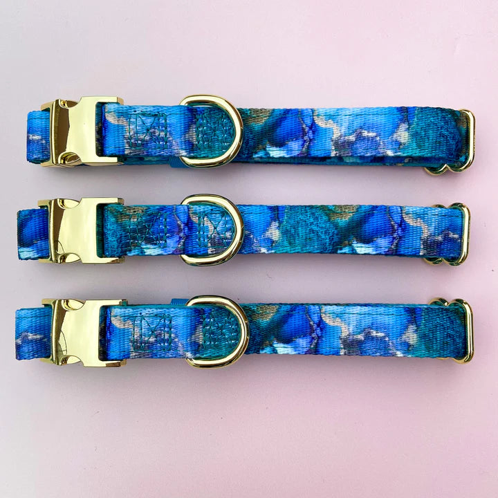 WAPC Agate Deluxe Collar