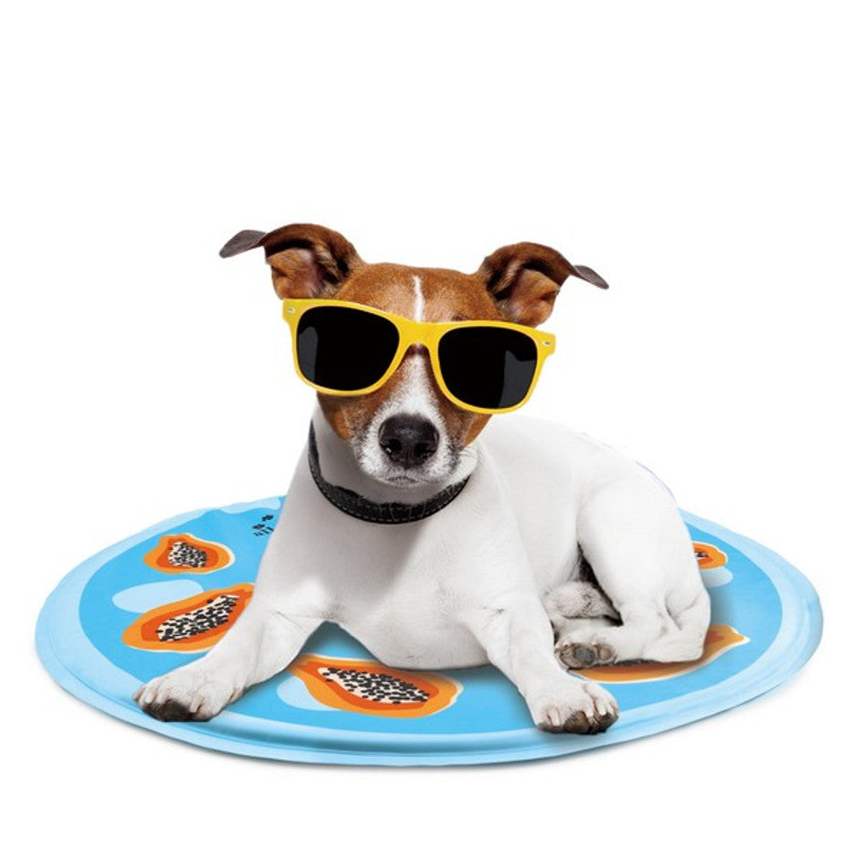 All For Paws Chill Out Cooling Mat  Papaya 60cm