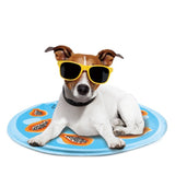 All For Paws Chill Out Cooling Mat  Papaya 60cm