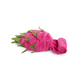 All For Paws Dig It Dragon Fruit Puzzle Toy