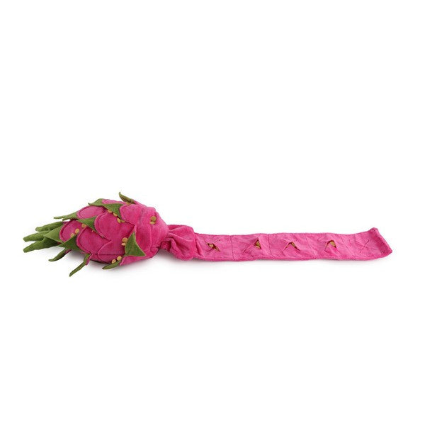 All For Paws Dig It Dragon Fruit Puzzle Toy