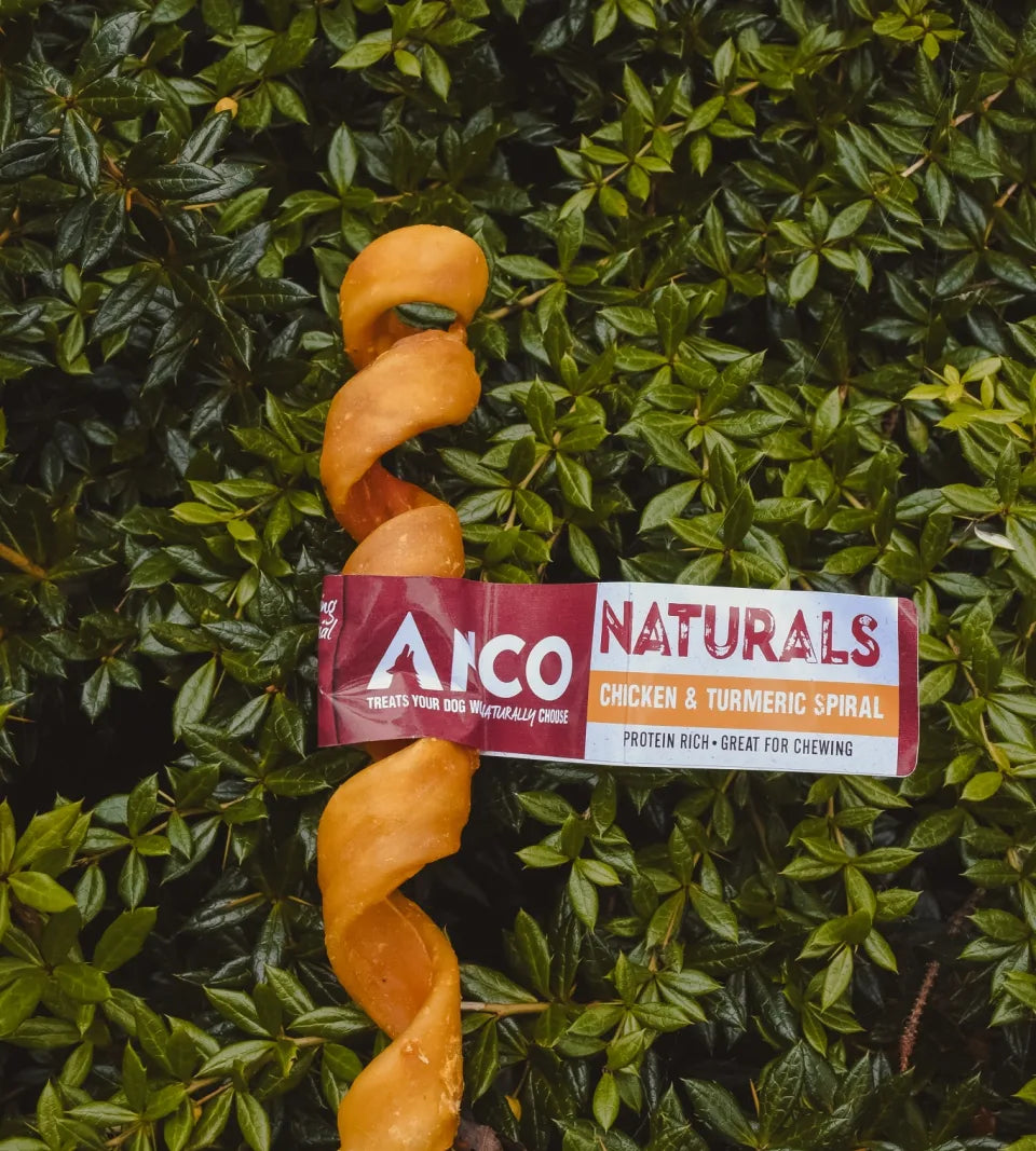 Anco Naturals Chicken & Turmeric Spiral