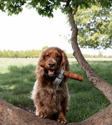 Anco Naturals Yak Rolls Large