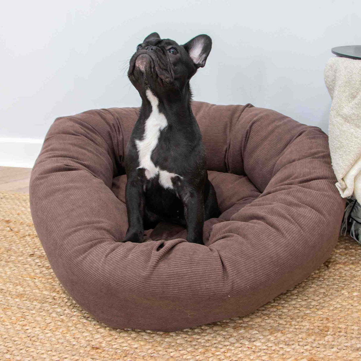A black French Bulldog sitting in a round, plush brown dog bed on a woven rug.