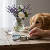 BeLoved Be:Relief Itch Relief Balm - 60g