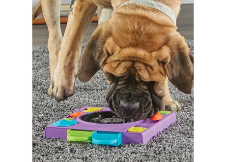 Brightkins DJ Doggo Puzzle Feeder