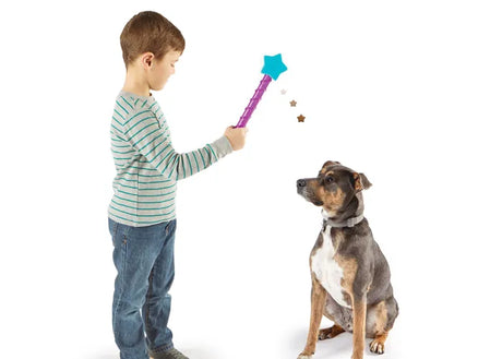 Brightkins Magic Wand Treat Dispenser